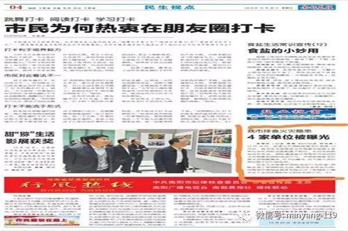 南阳市新闻爆料网,聚焦本土热点,传递民生声音 第3张 南阳市新闻爆料网,聚焦本土热点,传递民生声音 第3张